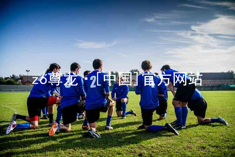 z6尊龙·[中国]官方网站