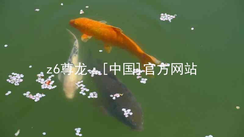 z6尊龙·[中国]官方网站